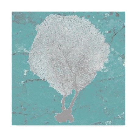 Studio W 'Graphic Sea Fan Ii' Canvas Art,35x35